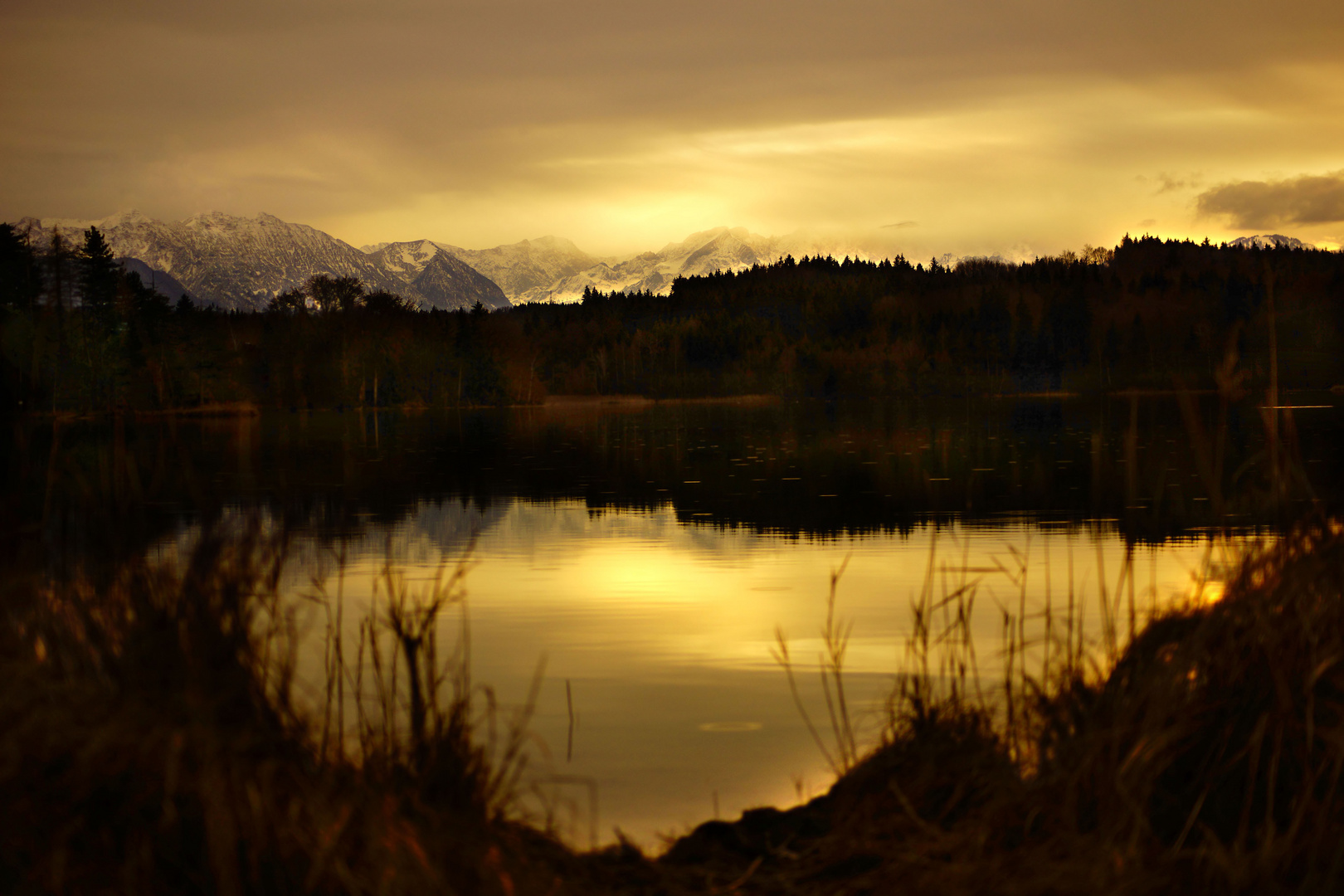 Porträt der Natur