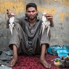 Porträts aus Pakistan: Händler im Basar von Rawalpindi