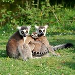 Portrait de famille