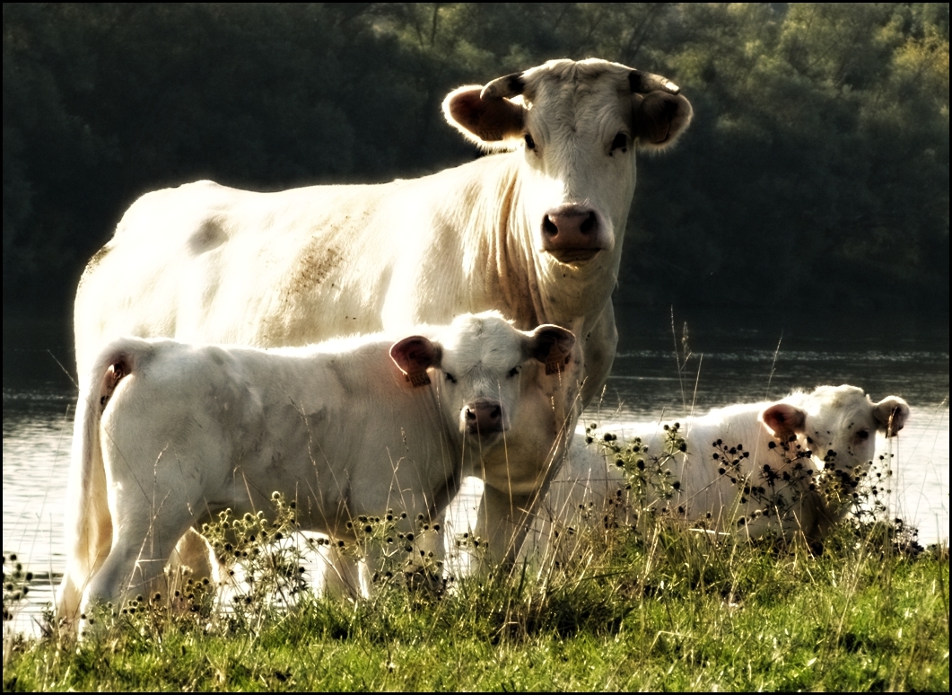 Portrait de famille !