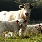 Portrait de famille !