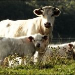 Portrait de famille !