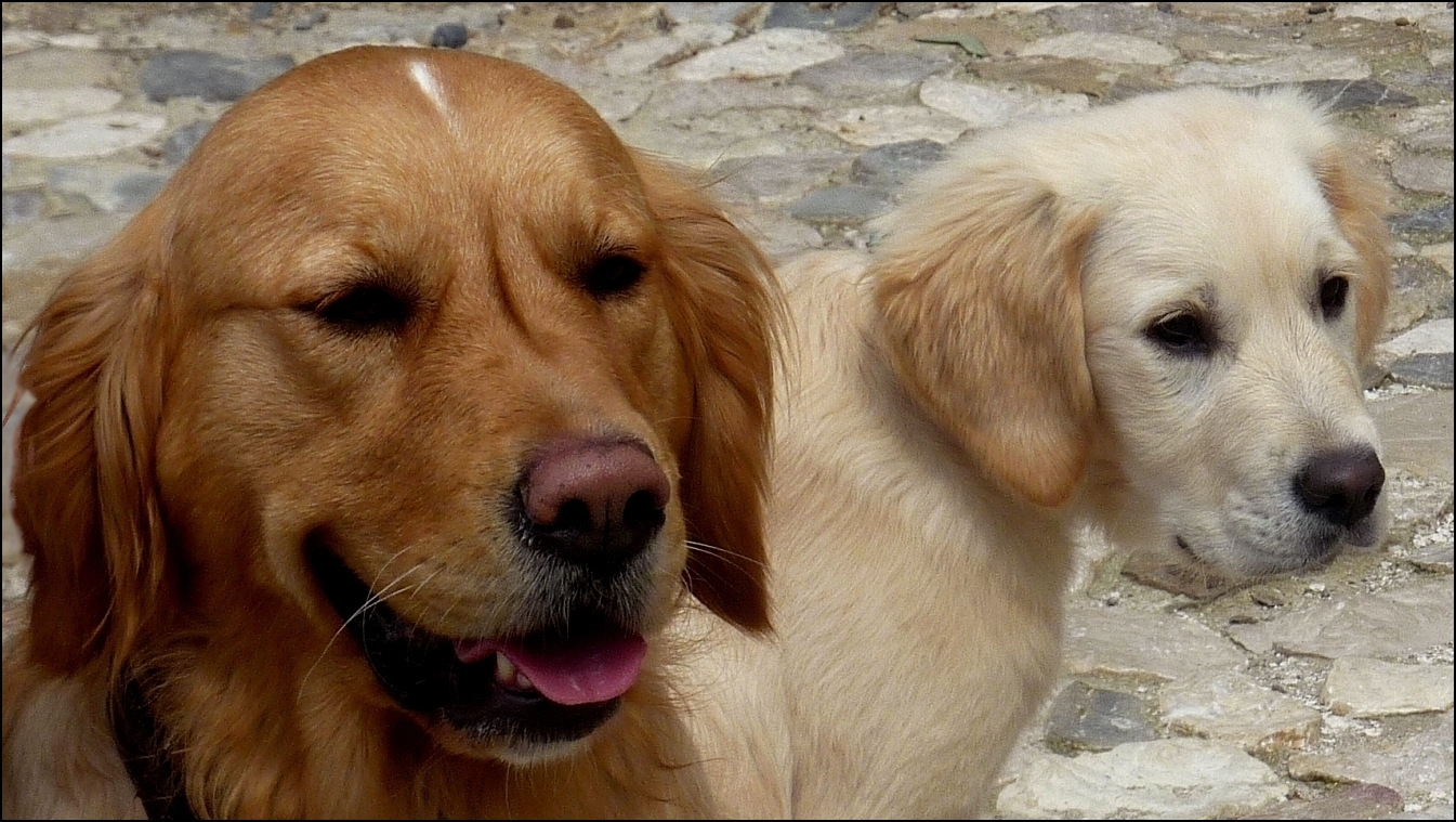 Portrait de famille !