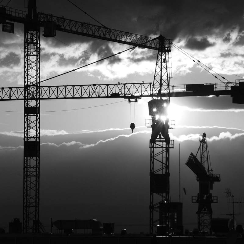 Portrait de famille... de grues