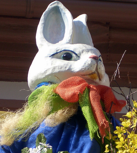 Portrait des Osterhasen mit oranger Schleife von M. A. M.