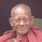 portrait d'un moine Birman