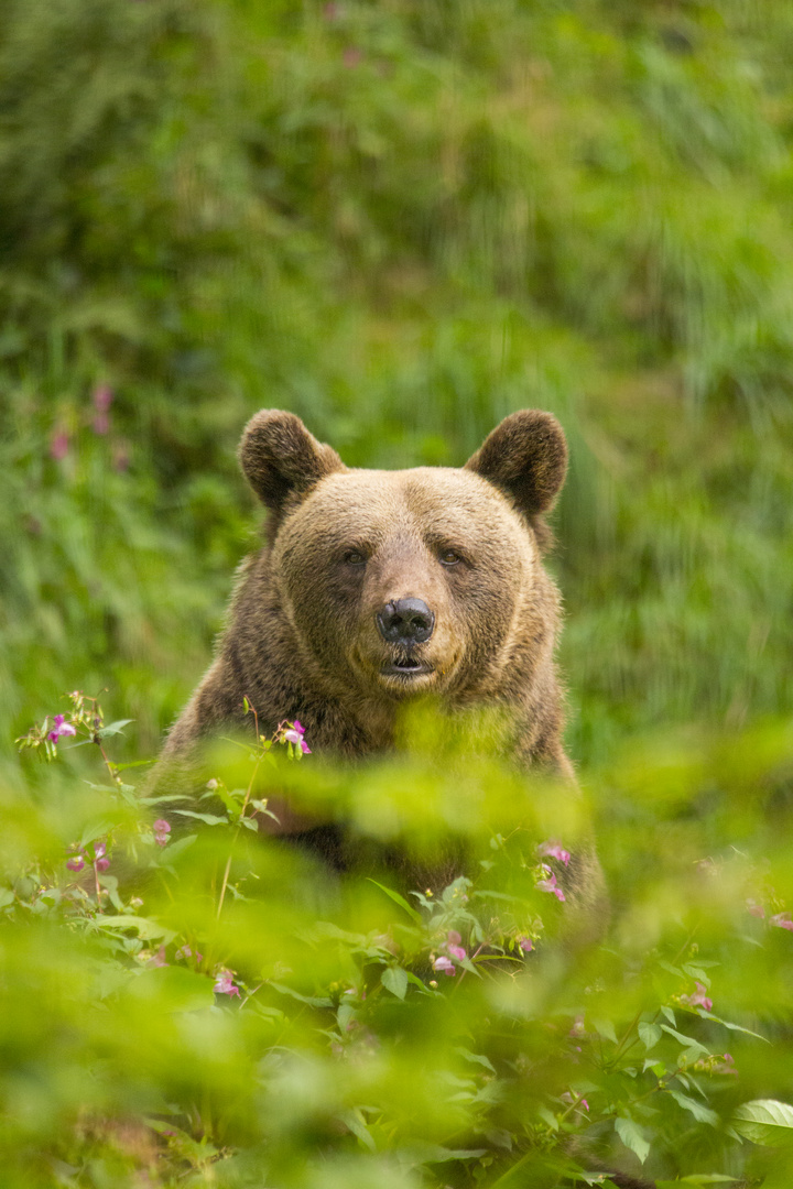 Portrait einer Mutter