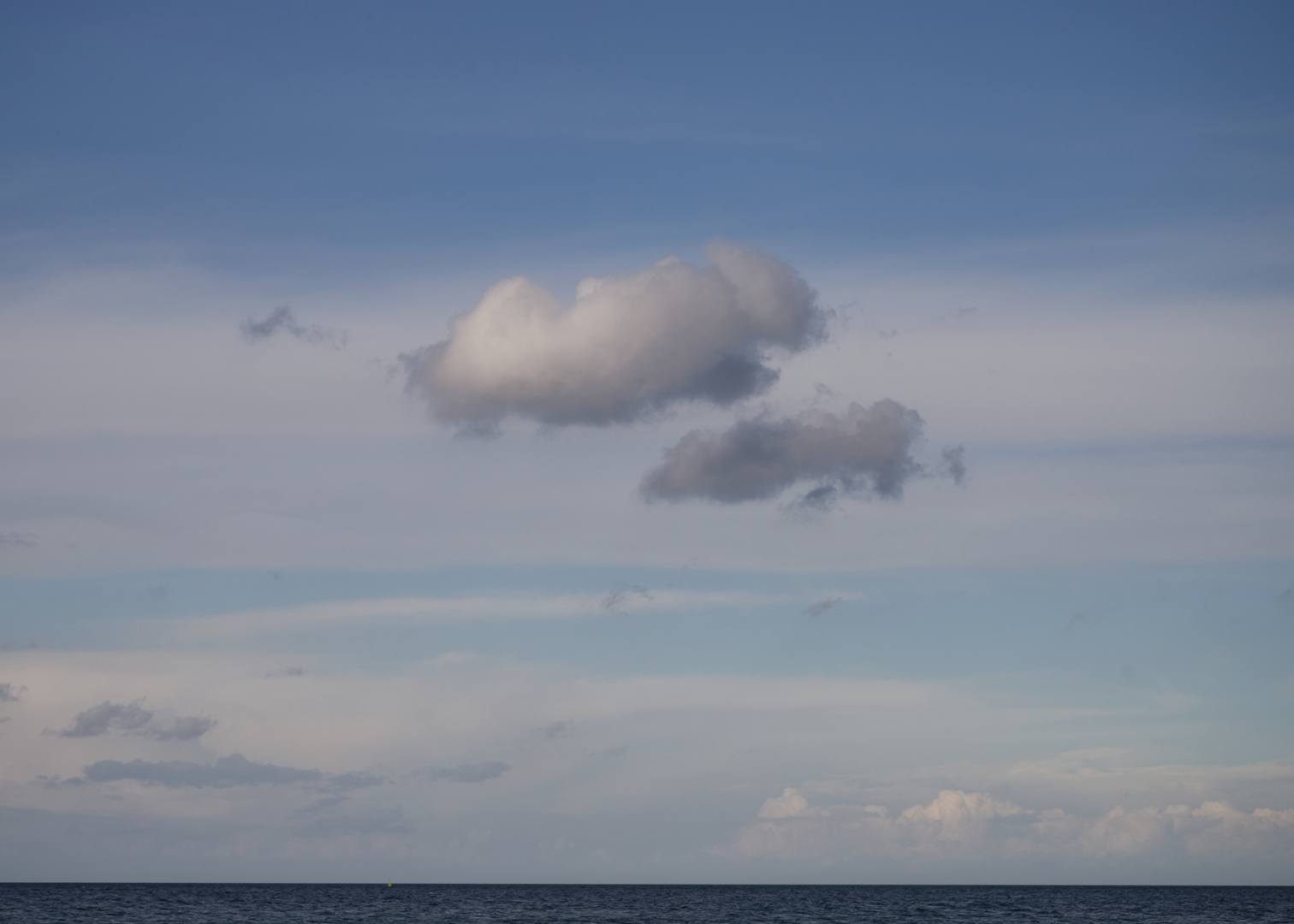 Portrait einer Wolke