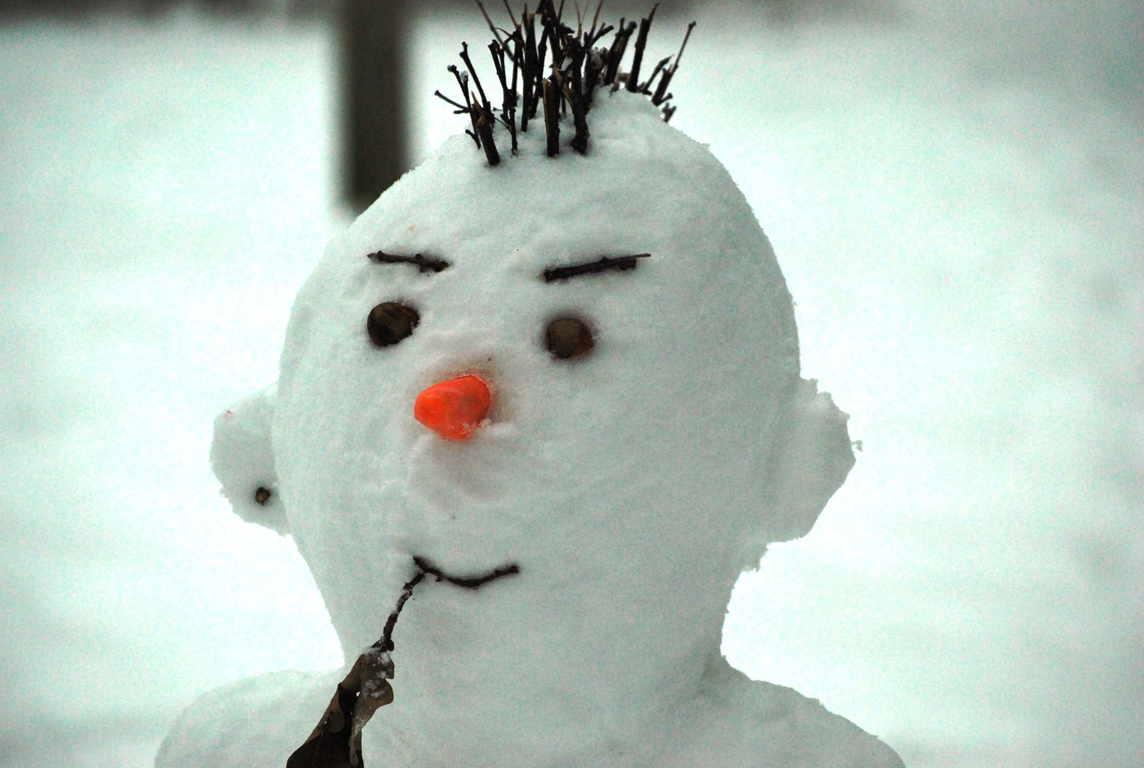 Portrait eines Schneemanns (anläßlich der Eisheiligen)