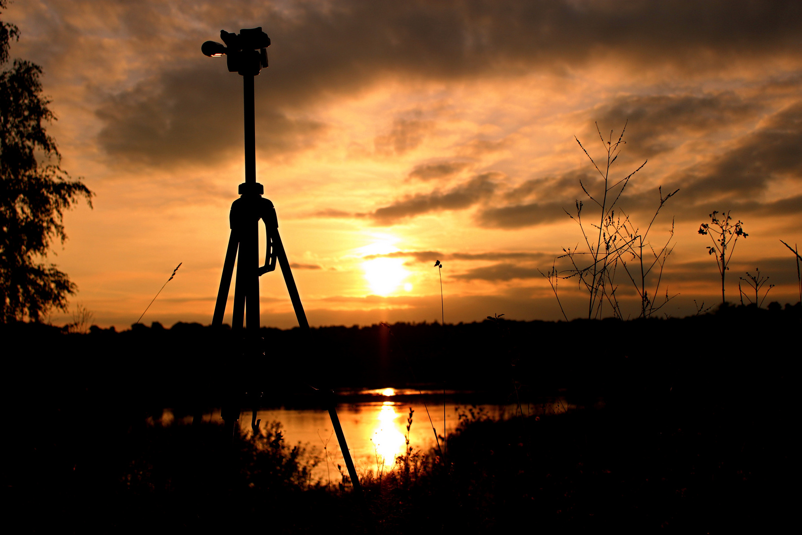 Portrait eines Sonnenuntergangs