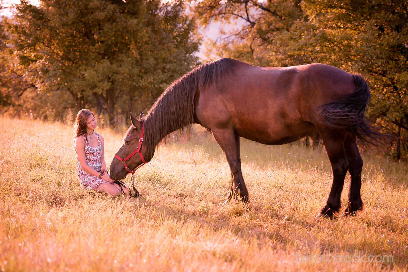 Portrait Frau und Pferd-3