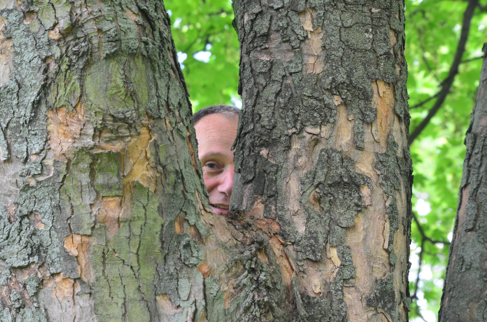 Portrait im Baum