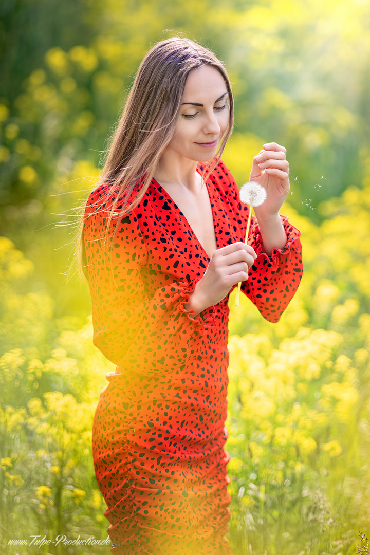 Portrait im Rapsfeld