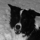 Portrait im Schnee