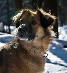 Portrait im Schnee