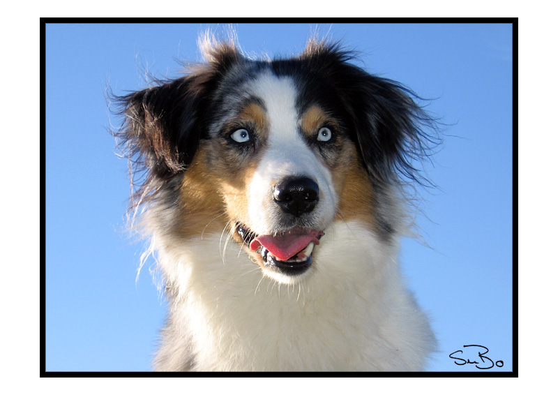 Portrait im Sonnenschein