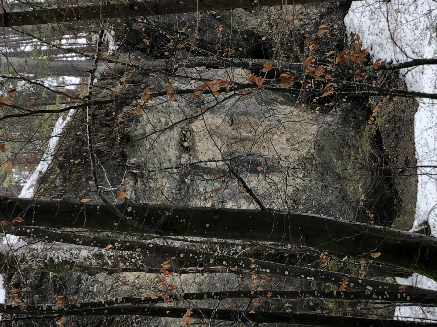 Portrait im Stein