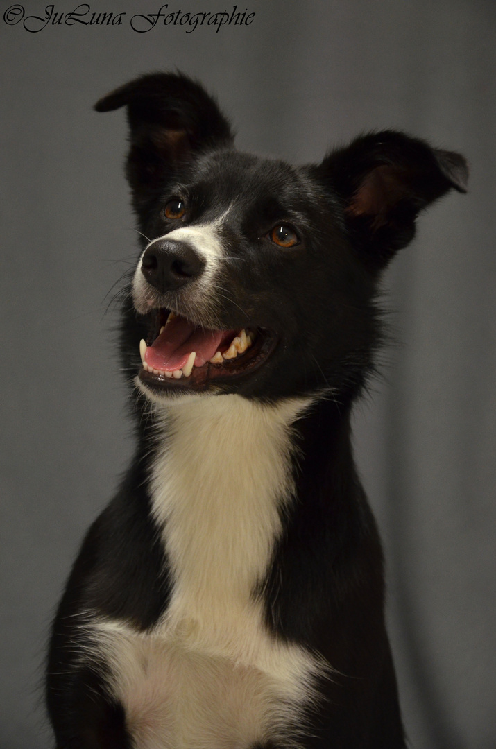 Portrait im Studio von Luna