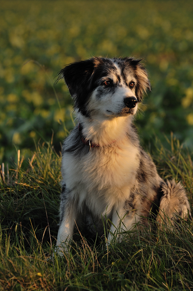 Portrait in der Herbstsonne