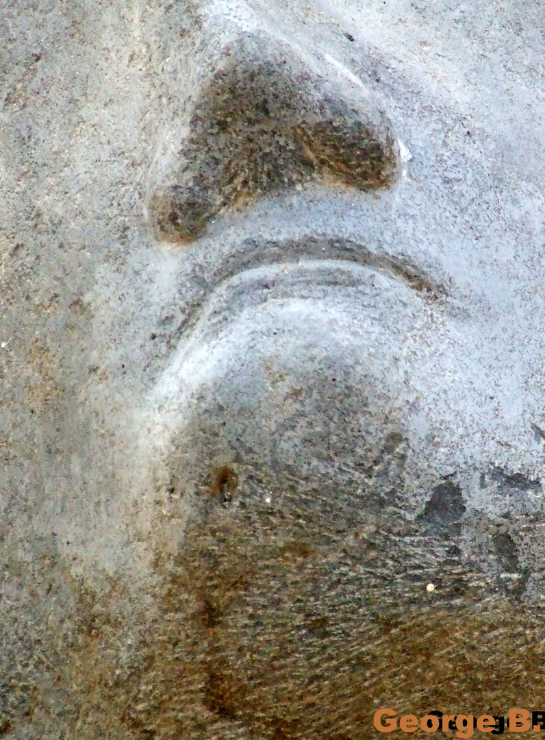 Portrait in Stone