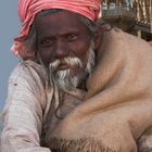 Portrait Indien Nr. 1967, Mann in Bikaner