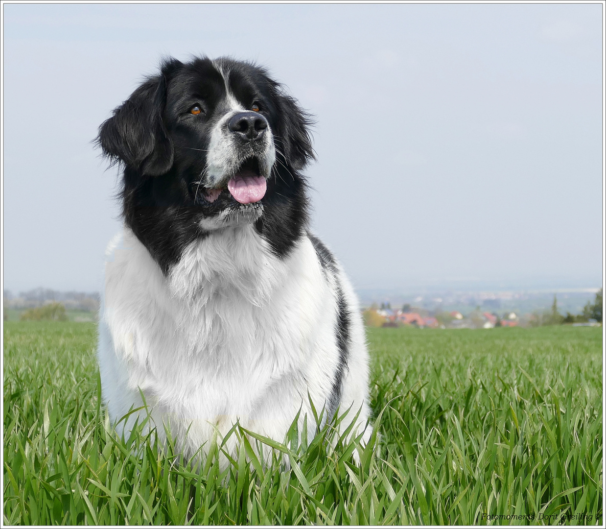 Portrait Landseer Thyra