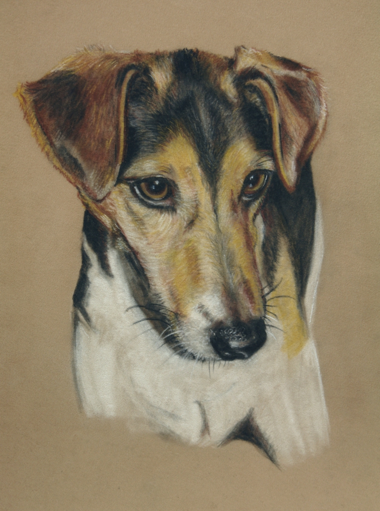 Portrait Lucy Foto &amp; Bild tiere, hundezeichnungen, hund Bilder auf