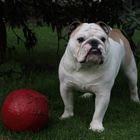 Portrait mit Ball