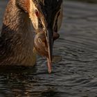 Portrait mit Fisch