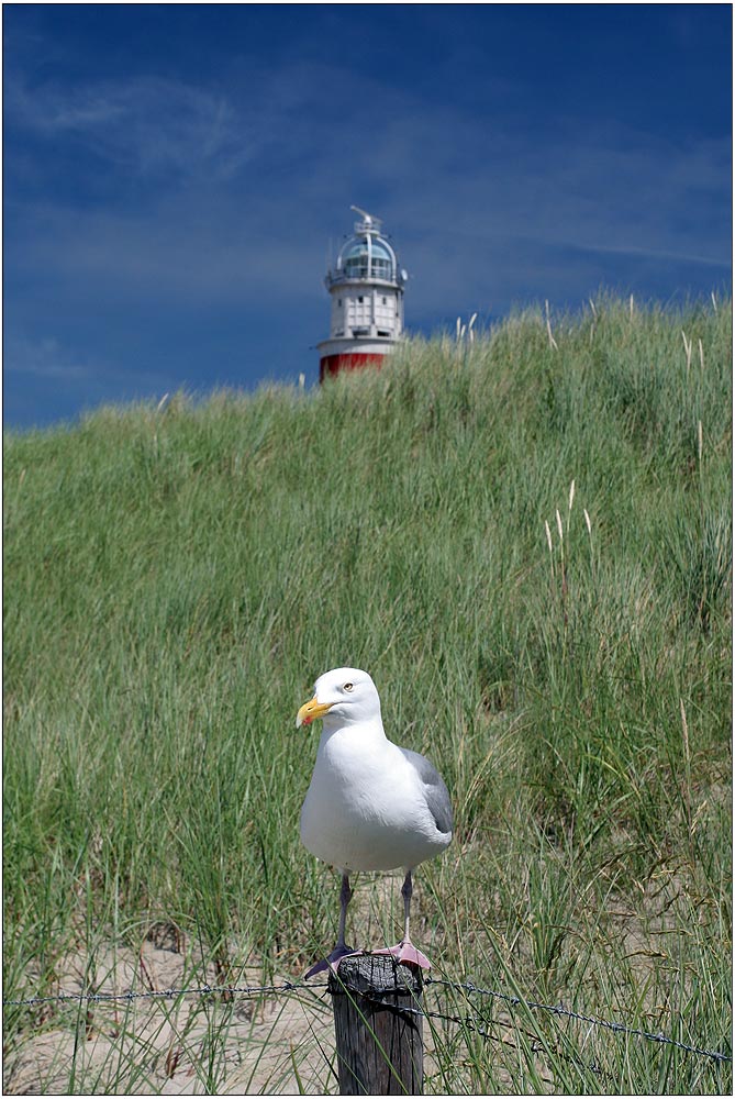 - portrait mit leuchtturm -