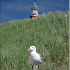 - portrait mit leuchtturm -