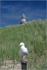 - portrait mit leuchtturm -