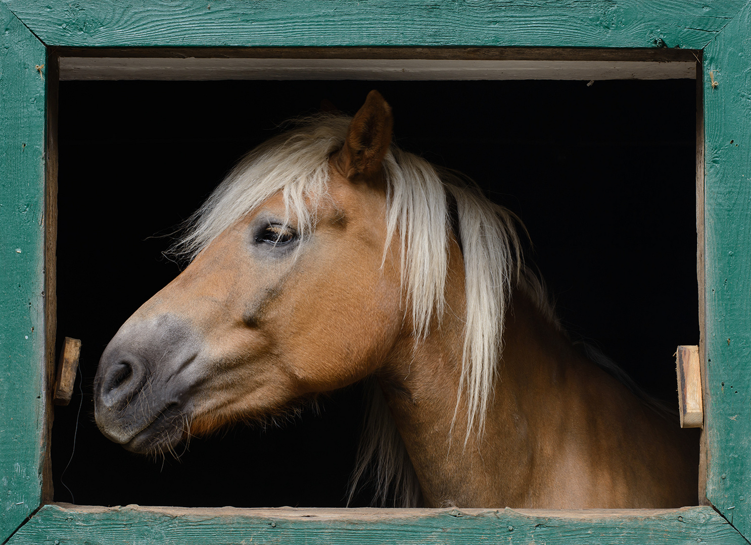 Portrait mit Rahmen