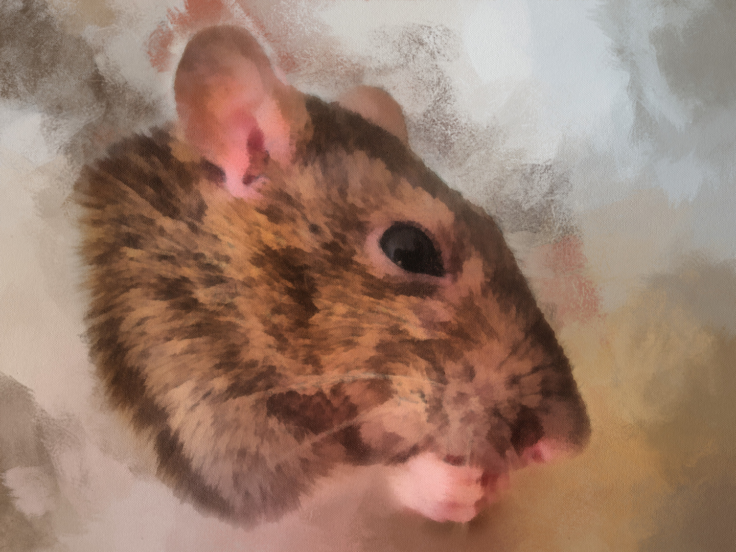 Portrait of a Rat