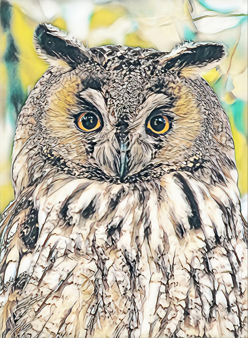 Portrait of an Owl