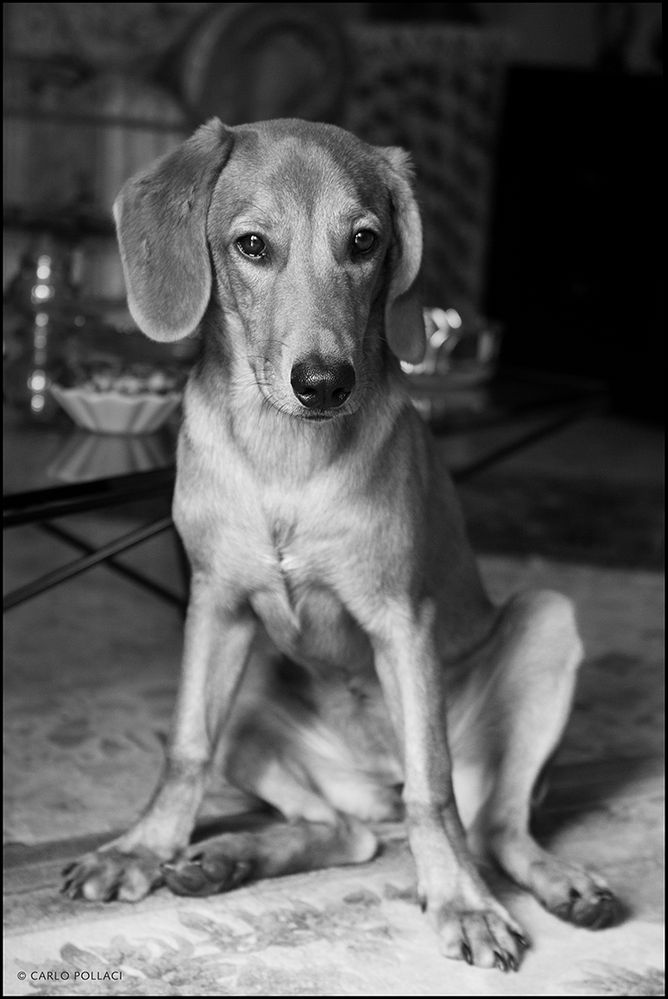 Portrait of Margot at seven months of age