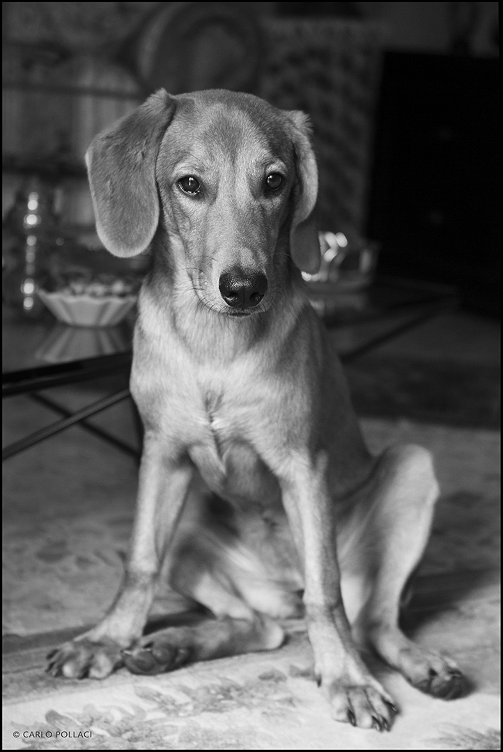 Portrait of Margot at seven months of age