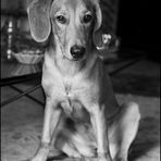 Portrait of Margot at seven months of age