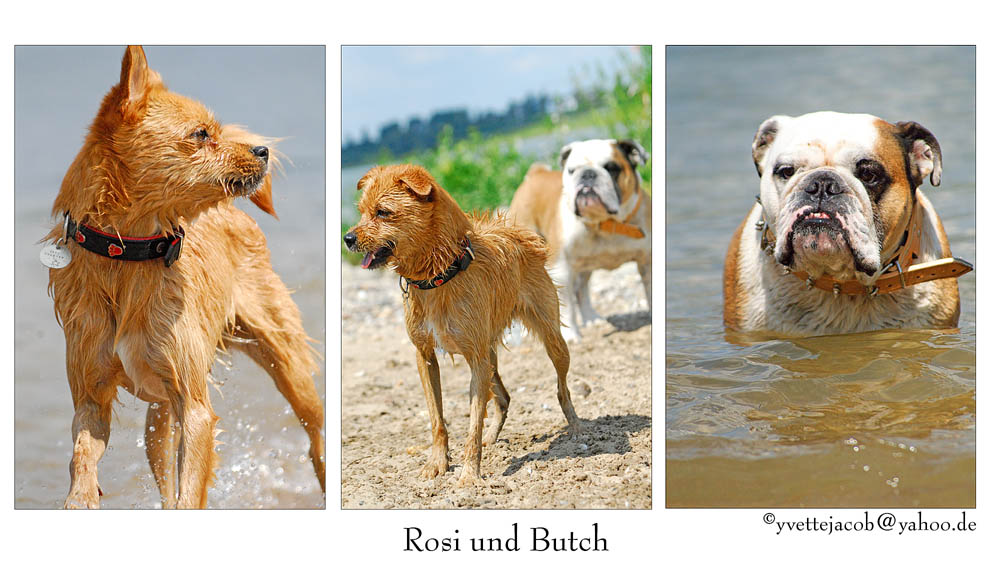 Portrait Rosi und Butch