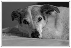 Portrait Sophia auf dem Bett