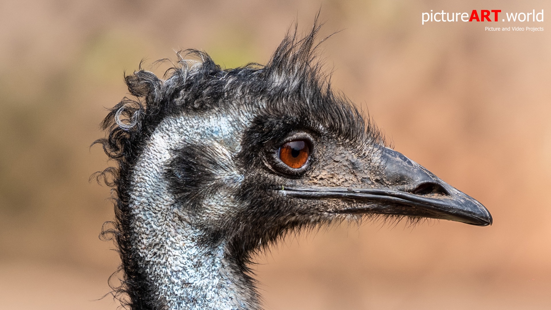 Portrait von einem EMU