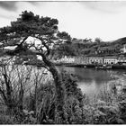 Portree