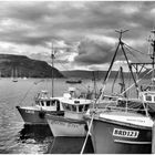 Portree - Hafen