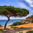 Portugal +++ Algarve