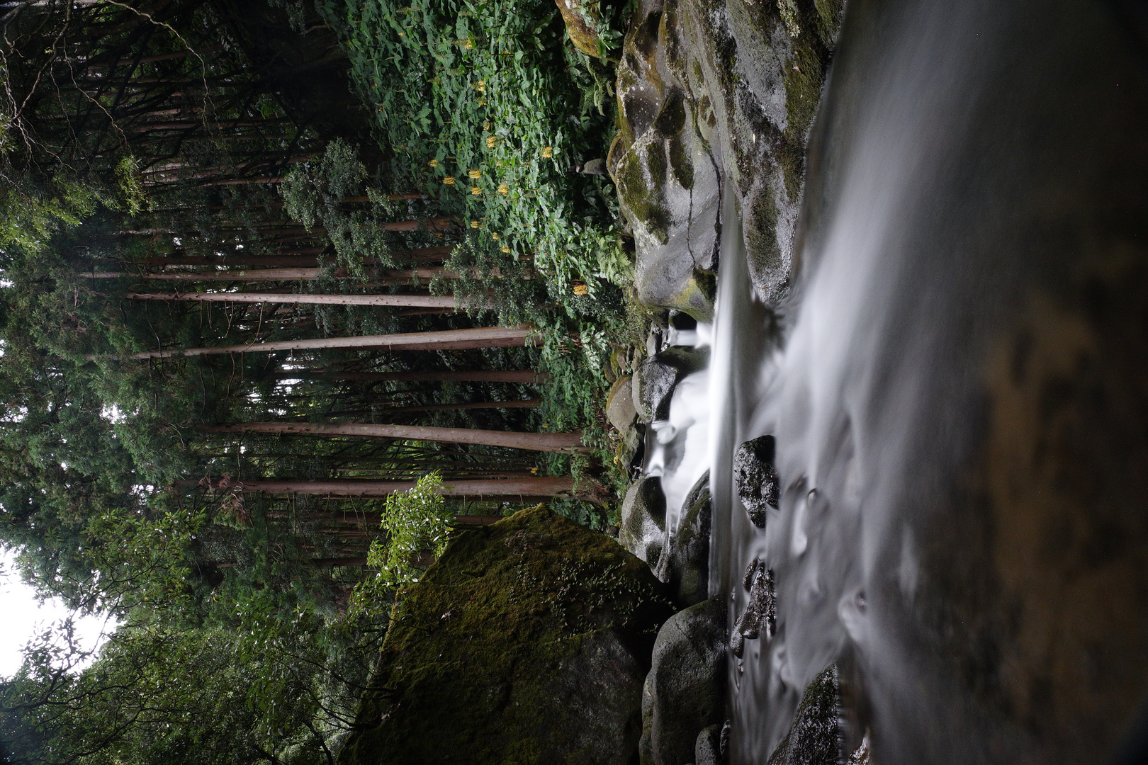 Portugal, Azoren, São Miguel