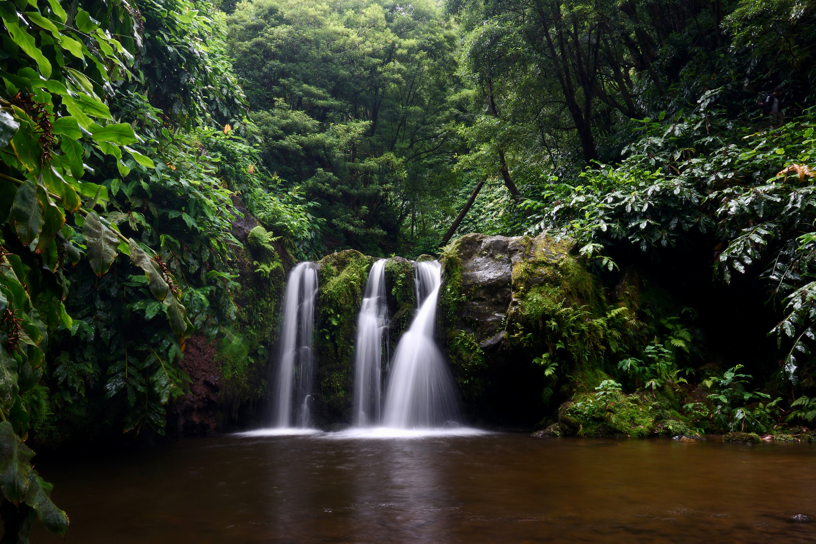 Portugal, Azoren, São Miguel