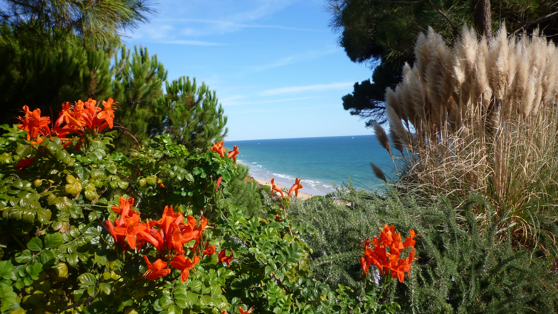 Portugal - Felsalgarve, Ort Olhos d'Água