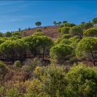 Portugal Landschaft