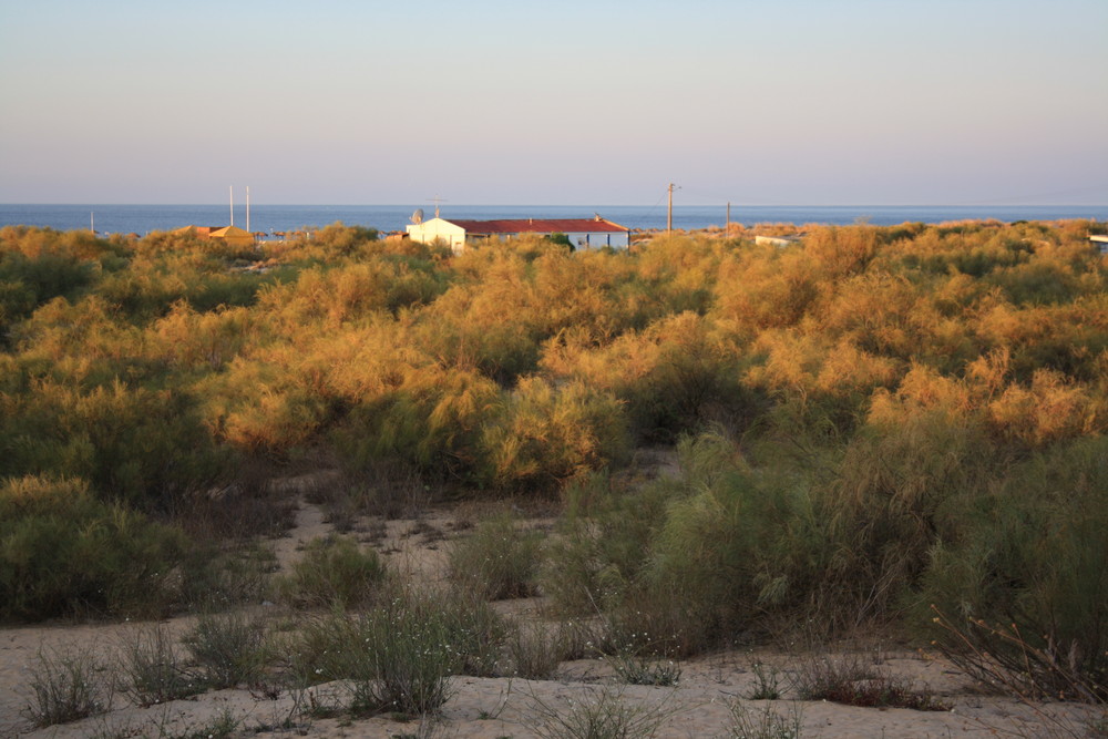 Portugal Landschaft in Manta Rota