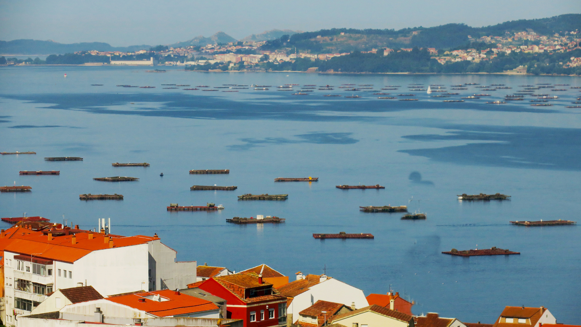 Portugal Muschelzucht